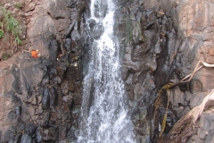 amarkantak