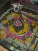 dscn3448